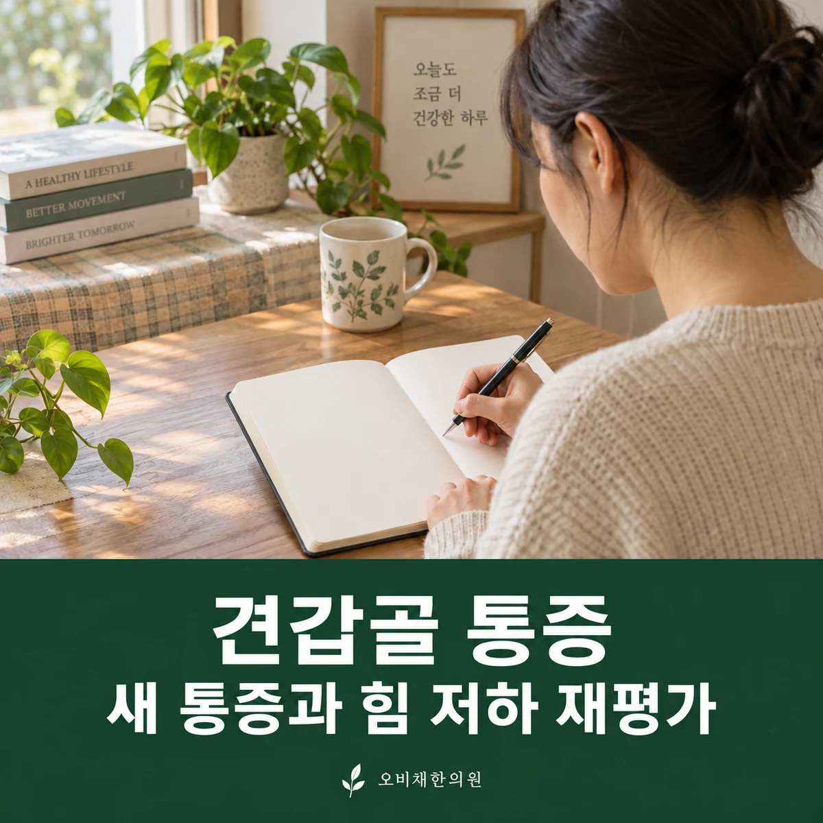 목동 견갑골 통증 경과·재진 · 새 통증과 힘 저하 재평가