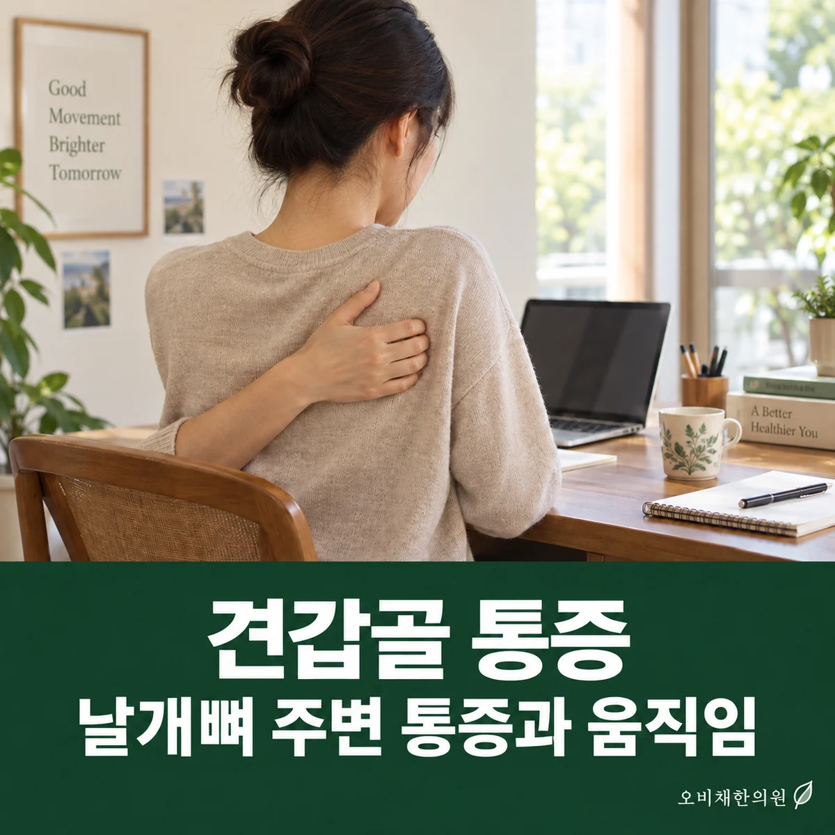 목동 견갑골 통증 증상 · 날개뼈 주변 통증과 움직임