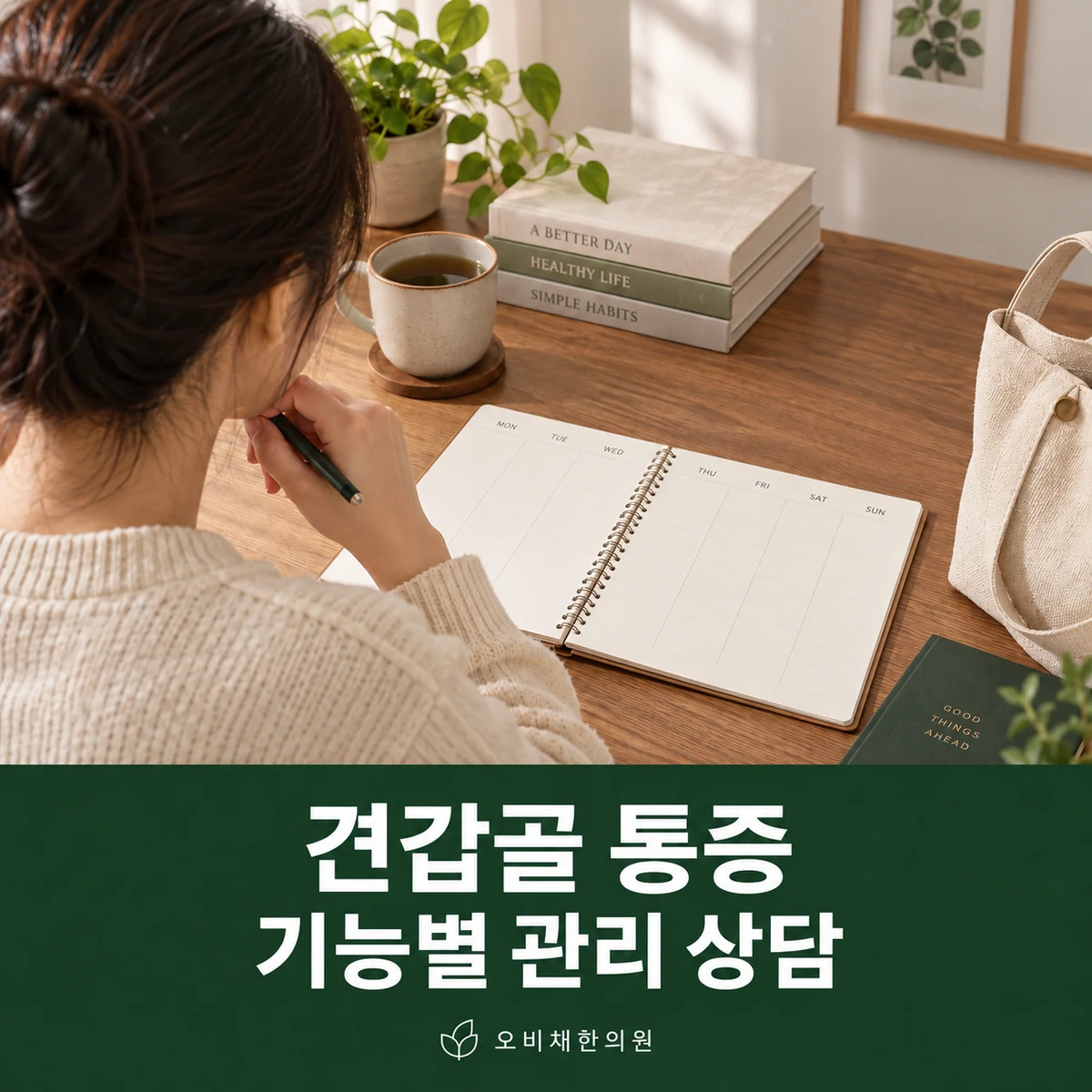 목동 견갑골 통증 치료 상담 · 기능별 관리 상담