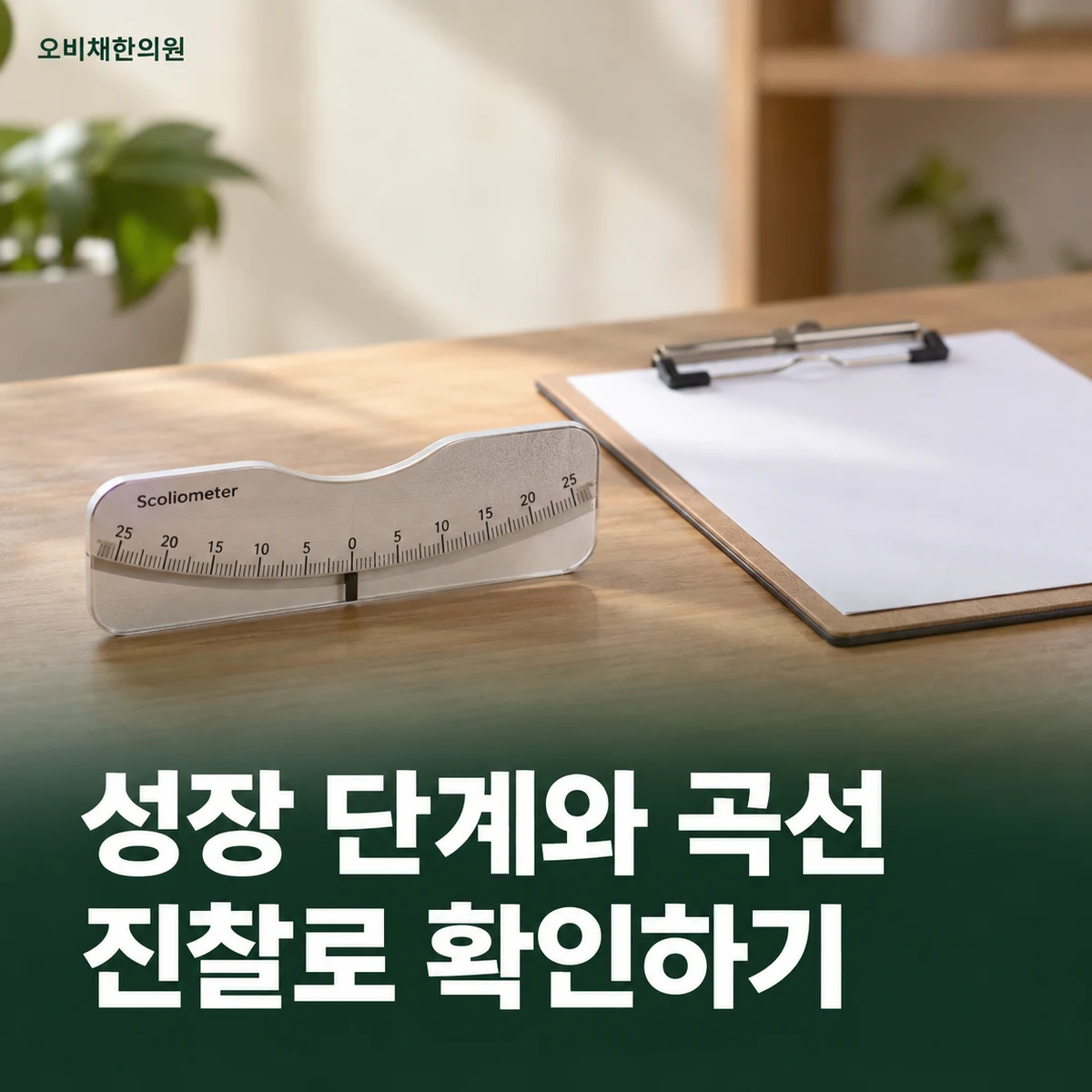 목동 척추측만증 진찰·검사 · 성장과 곡선 평가