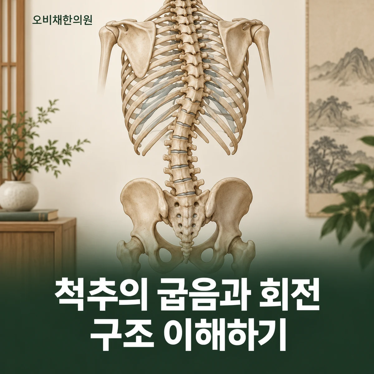 목동 척추측만증 원인과 구분 · 옆 굽음과 회전 이해