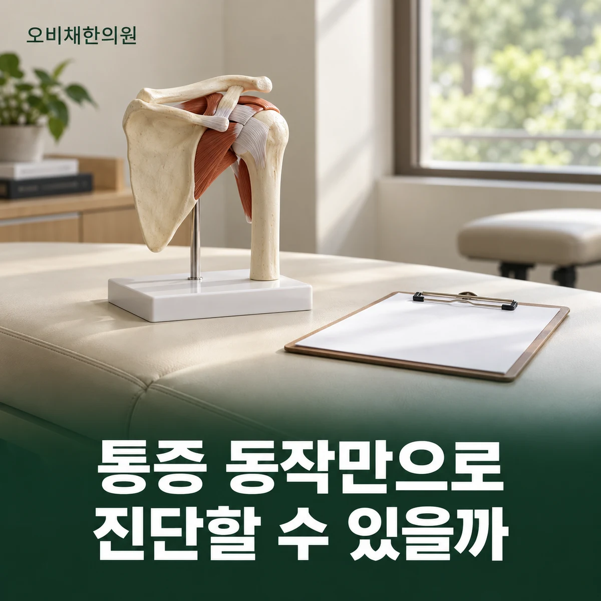 목동 어깨충돌증후군 진찰·검사 · 여러 어깨 문제 감별