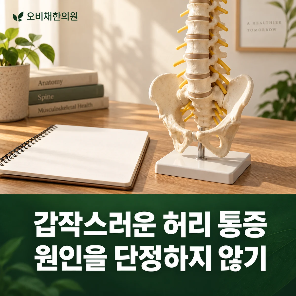 목동 허리삐끗 원인과 구분 · 갑작스러운 허리 통증 · 원인을 단정하지 않기