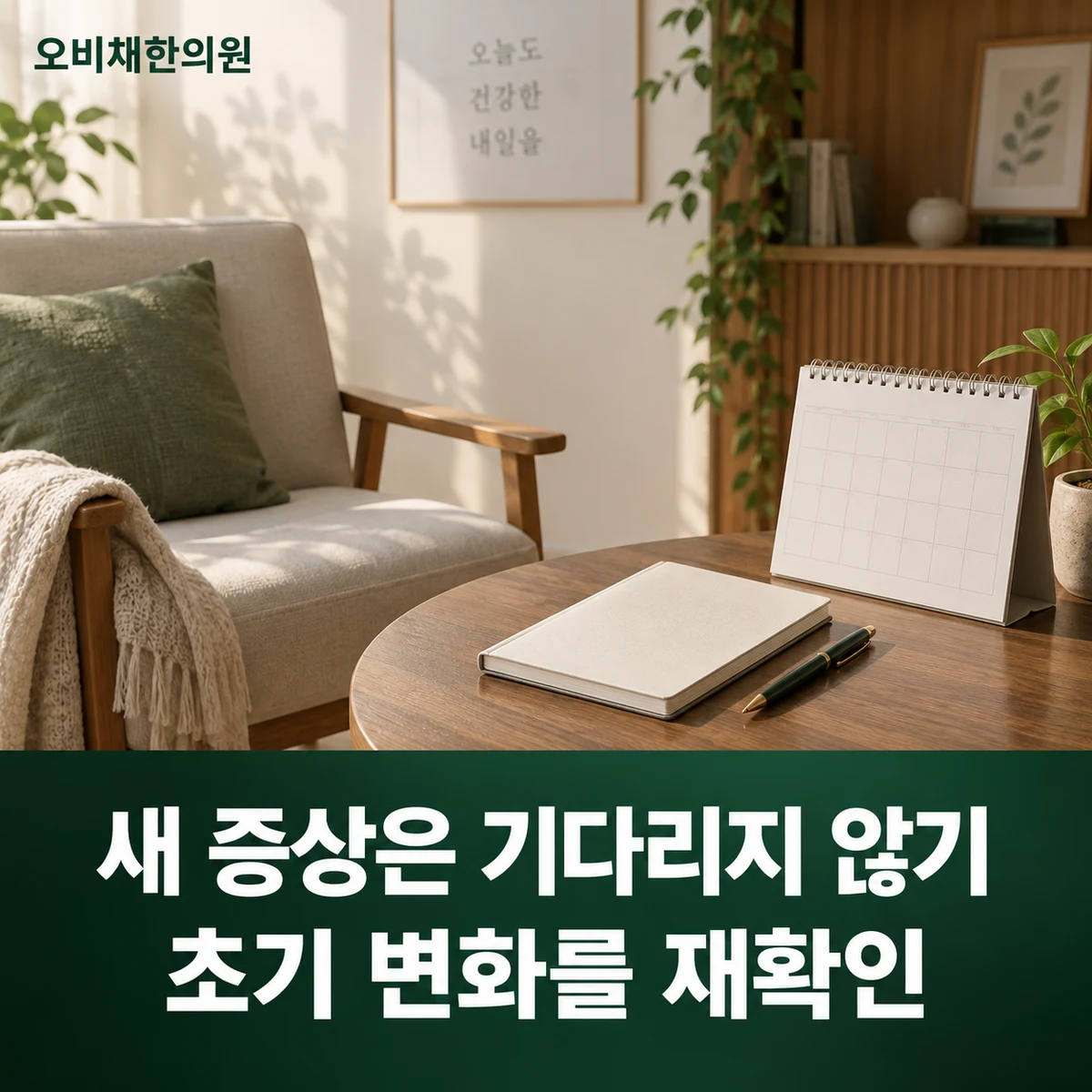 목동 허리삐끗 경과·재진 · 새 증상은 기다리지 않기 · 초기 변화를 재확인