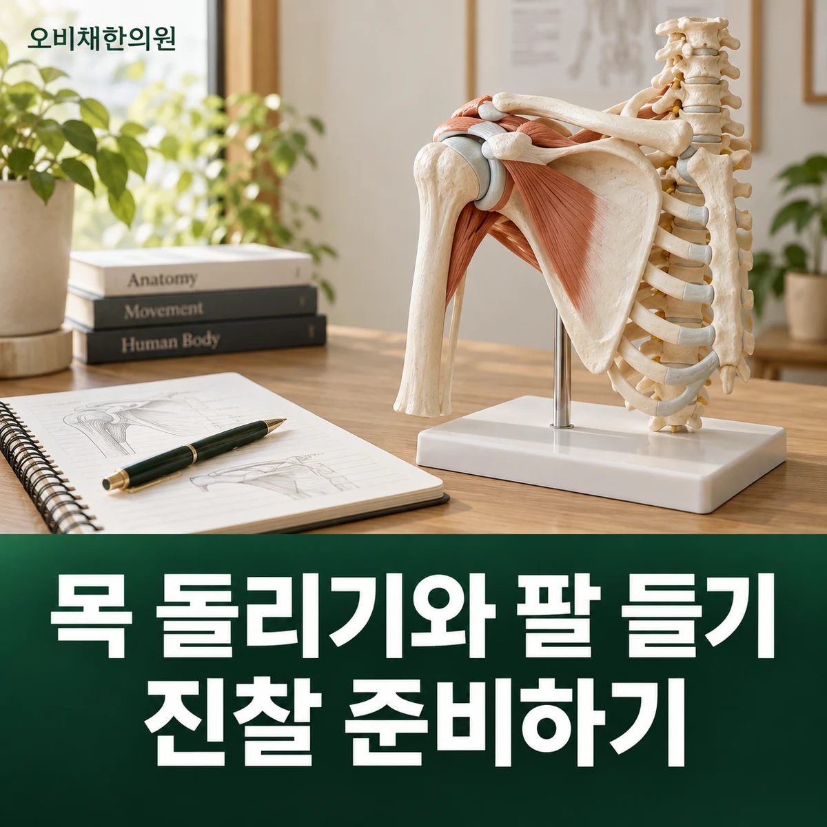 목동 승모근통증 진찰·검사 · 목 돌리기·팔 들기 평가