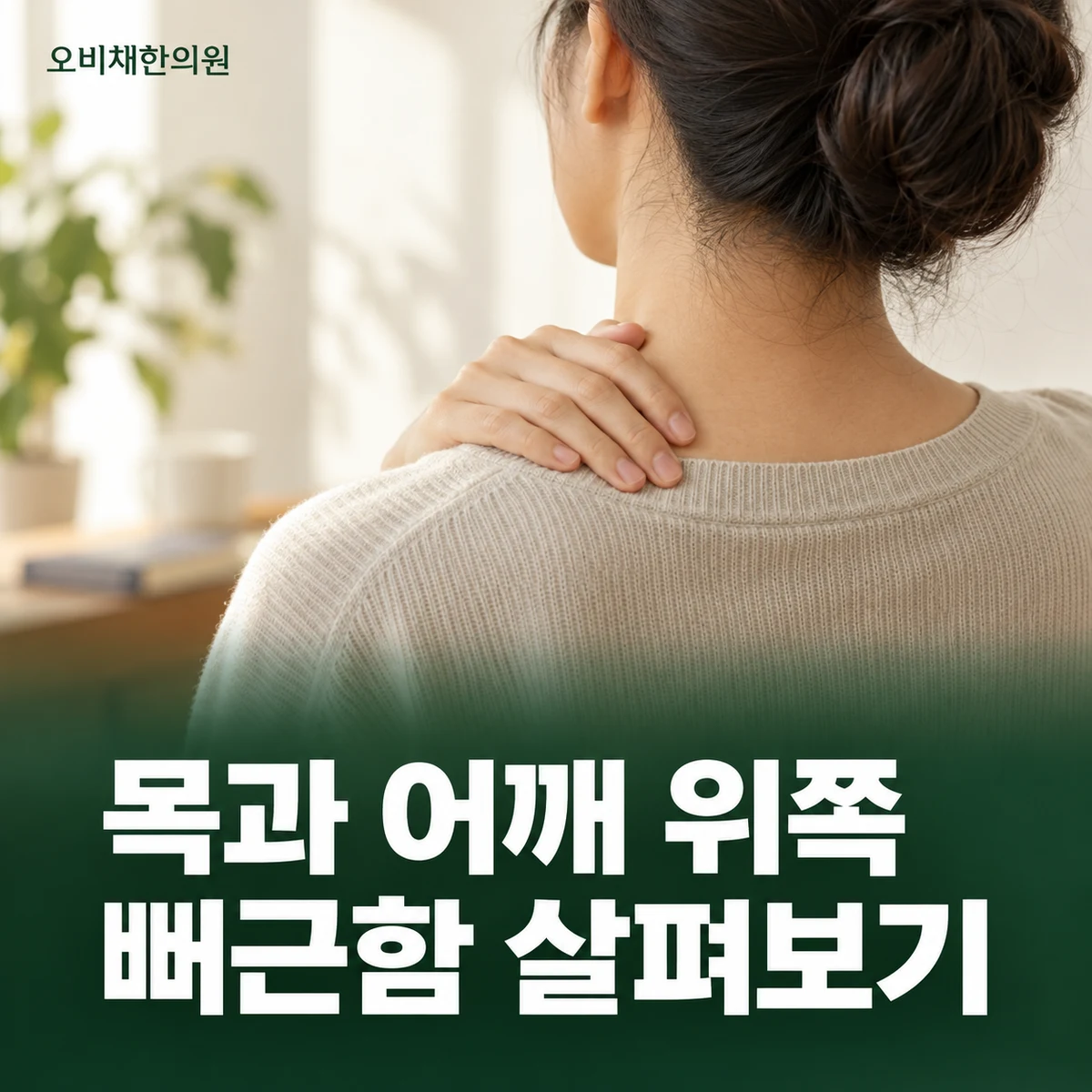 목동 승모근통증 증상 · 목·어깨 위쪽 뻐근함