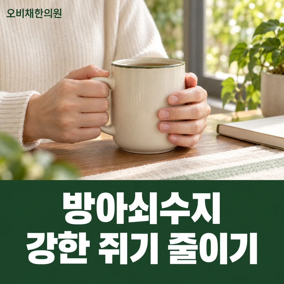 목동 방아쇠수지 생활관리 · 강한 쥐기 줄이기