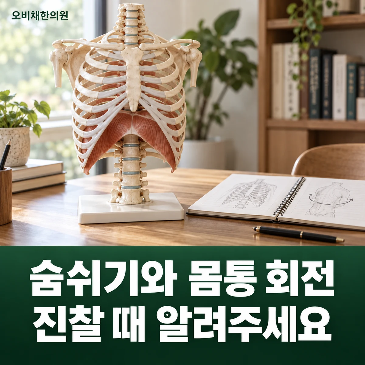 목동 담결림·등통증 진찰·검사 · 호흡·회전과 진찰