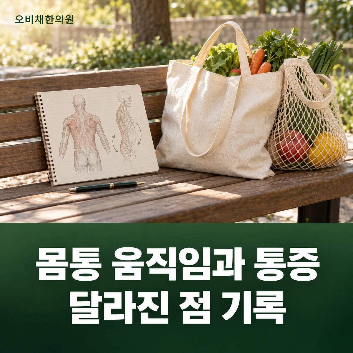 목동 담결림·등통증 경과·재진 · 호흡·몸통 동작 변화