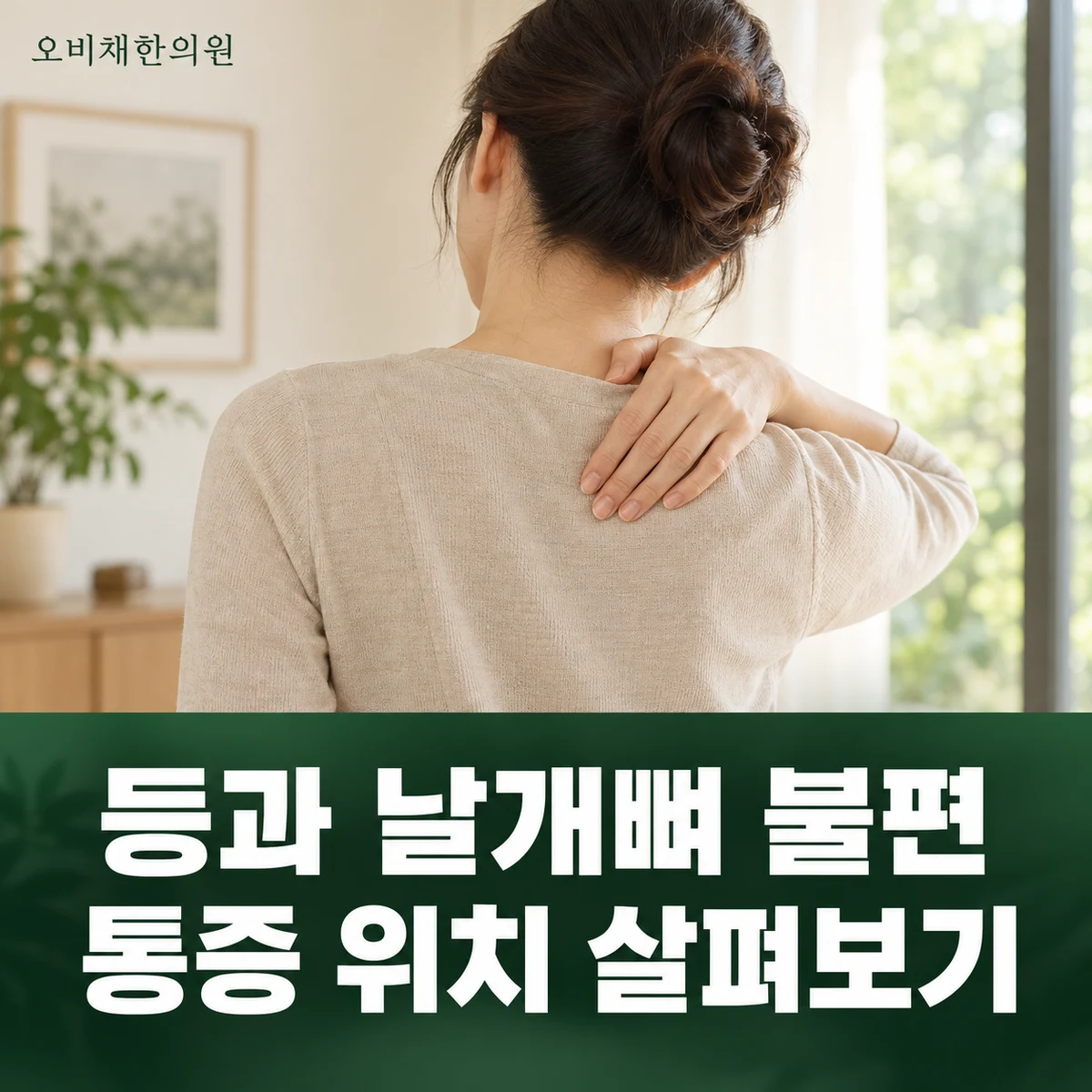목동 담결림·등통증 증상 · 등·날개뼈 통증 위치
