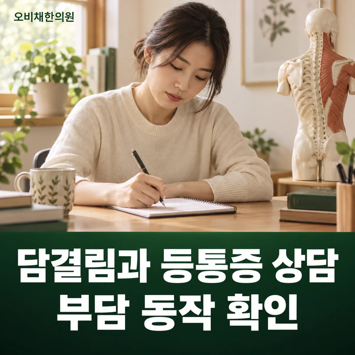 목동 담결림·등통증 치료·상담 · 부담 동작과 상담 목표